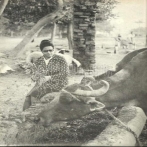 Oum kalthoum sur yala.fm